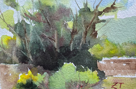 Urban Oasis