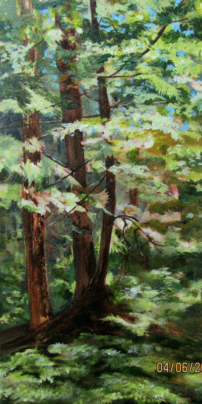 Caren Range 2