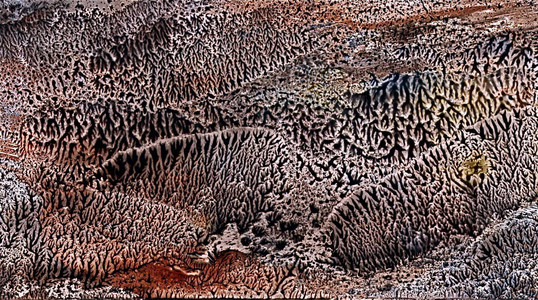 Black  Sage Hills