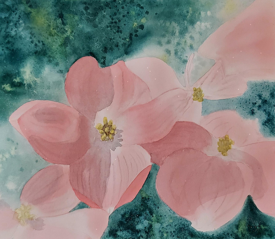 Dogwood Daze