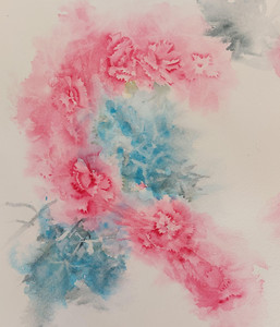 Pink Carnation Love