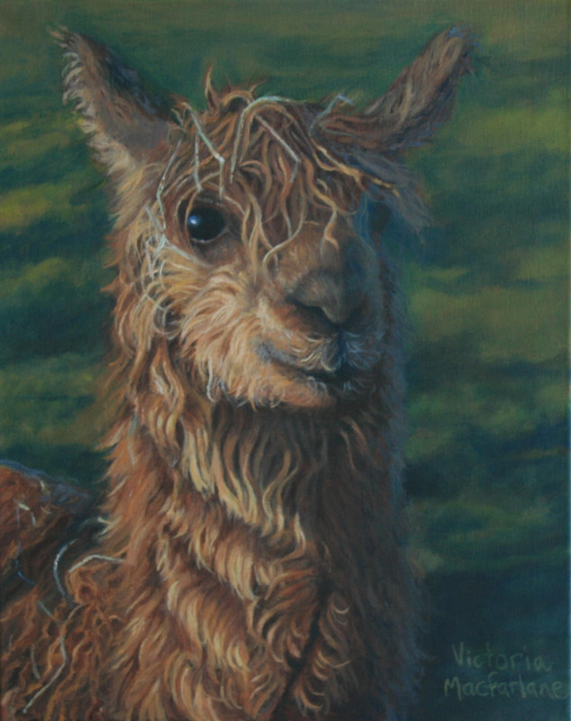 Carmelita at Sunset