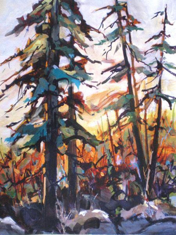 Walk in the Forest
