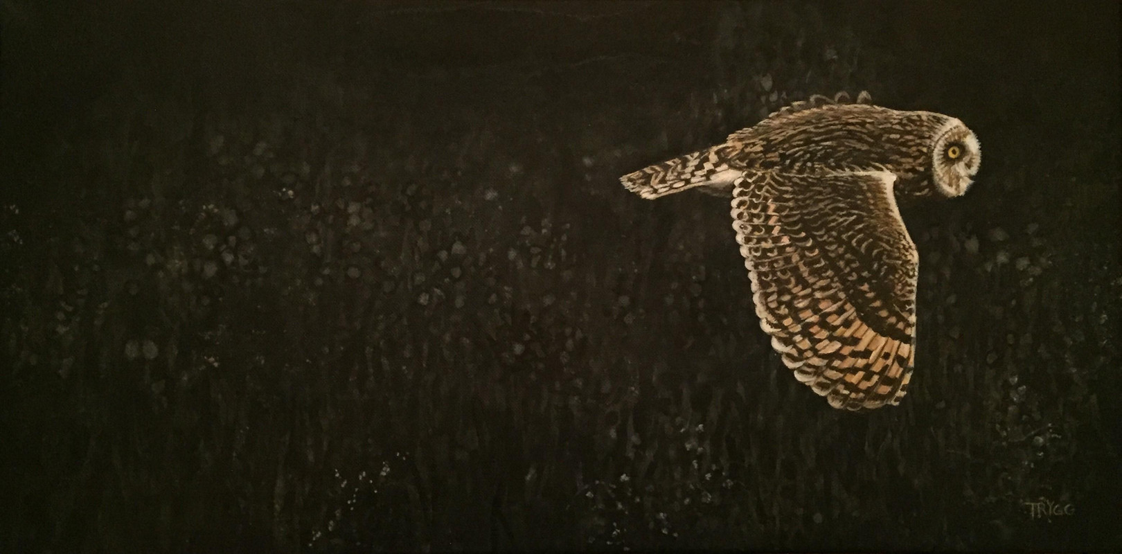 Silent Pursuit